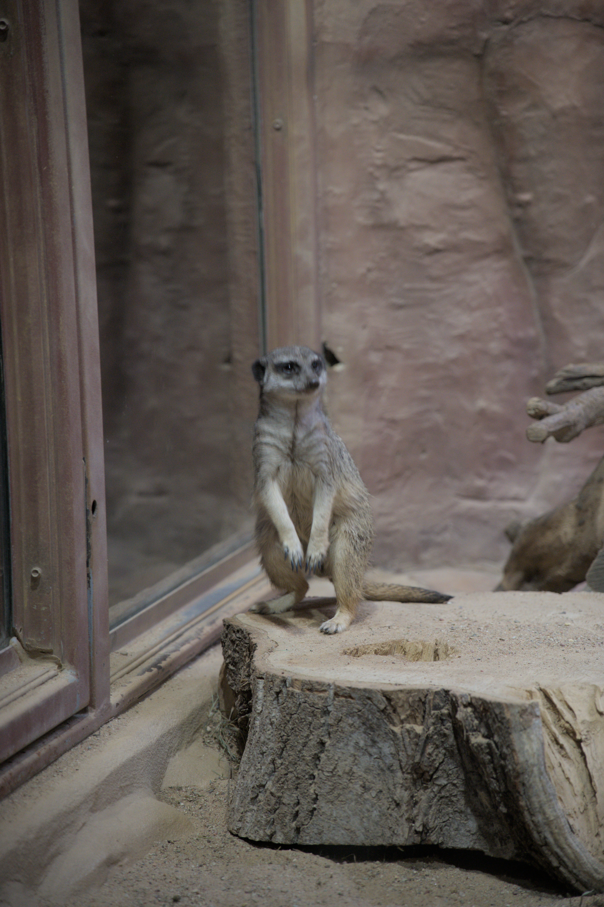 2025/10/12 - zoo/DSC_0334.jpg